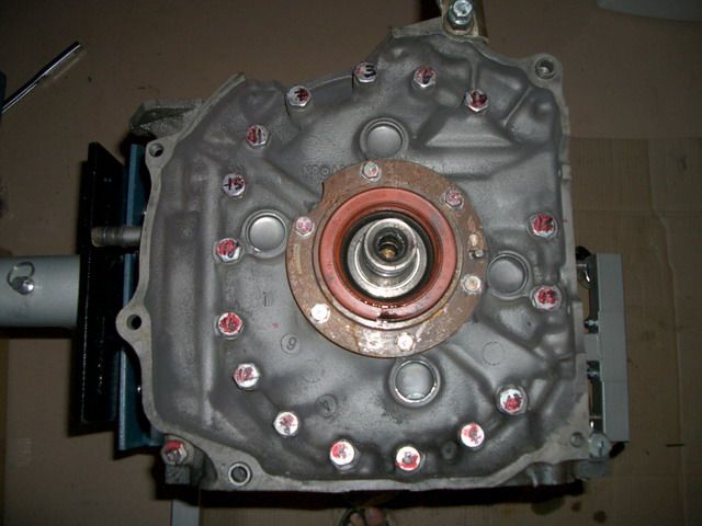 IMGP0575
